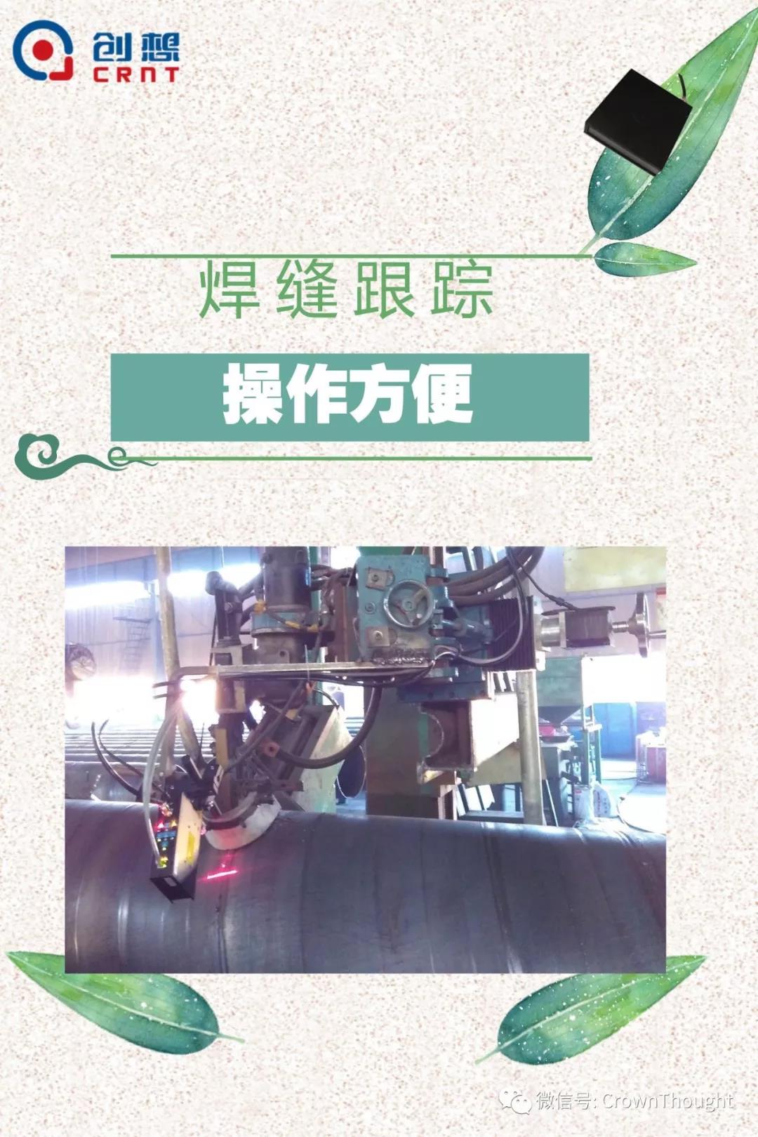 粽葉帶來的不僅僅是粽子，還有...